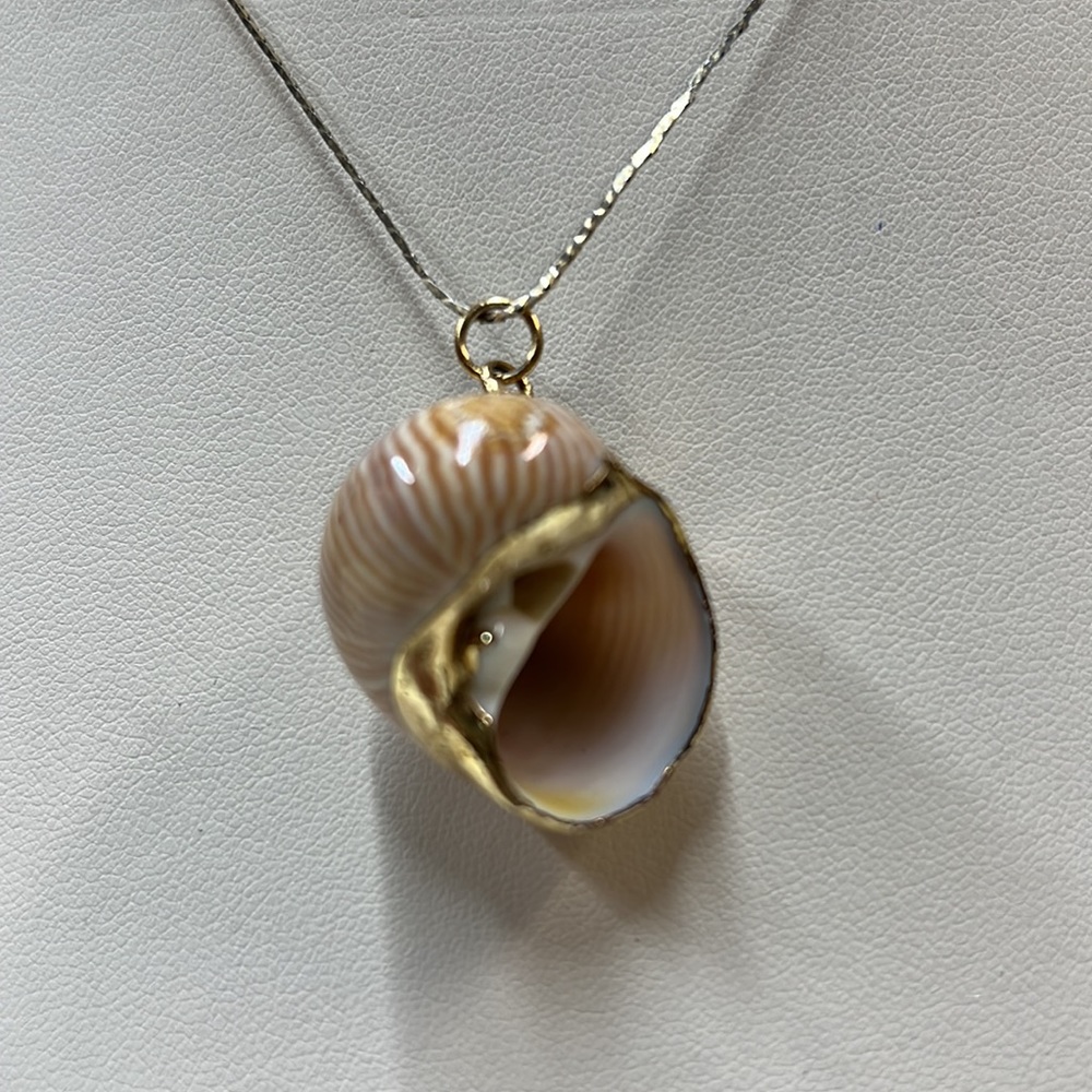 Nautical shell /wood with gold tone trim and chain. Pre owned.
